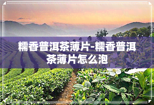 糯香普洱茶薄片-糯香普洱茶薄片怎么泡