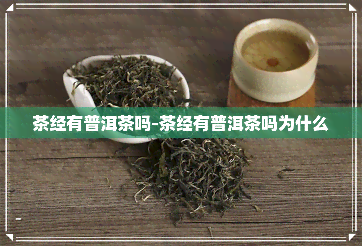 茶经有普洱茶吗-茶经有普洱茶吗为什么