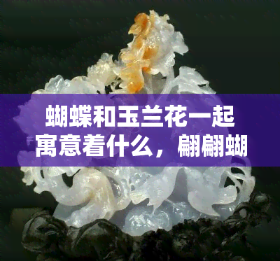 蝴蝶和玉兰花一起寓意着什么，翩翩蝴蝶与洁白玉兰：共同寓意的美好象征