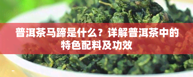 普洱茶马蹄是什么？详解普洱茶中的特色配料及功效