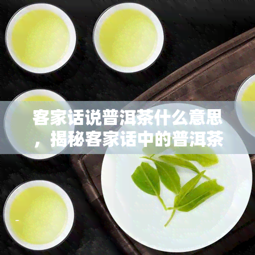 客家话说普洱茶什么意思，揭秘客家话中的普洱茶含义，你了解吗？