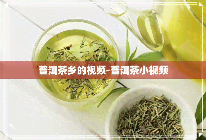 普洱茶乡的视频-普洱茶小视频