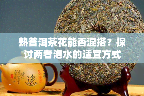 熟普洱茶花能否混搭？探讨两者泡水的适宜方式