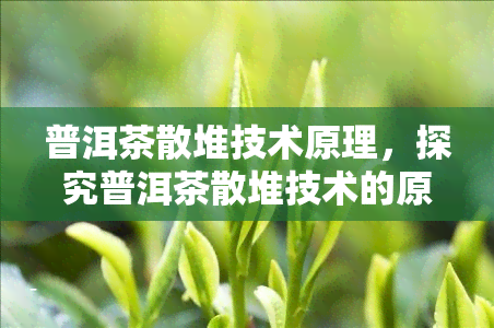 普洱茶散堆技术原理，探究普洱茶散堆技术的原理与实践