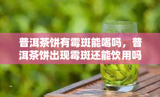 普洱茶饼有霉斑能喝吗，普洱茶饼出现霉斑还能饮用吗？