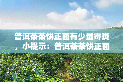 普洱茶茶饼正面有少量霉斑，小提示：普洱茶茶饼正面出现少量霉斑的处理方法