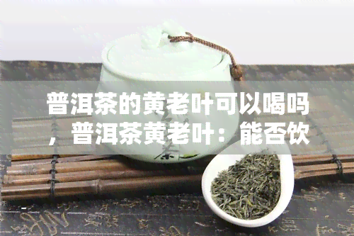 普洱茶的黄老叶可以喝吗，普洱茶黄老叶：能否饮用？