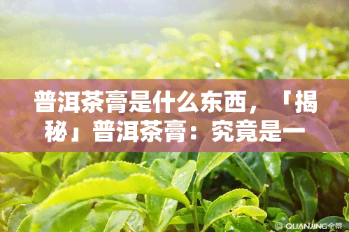 普洱茶膏是什么东西，「揭秘」普洱茶膏：究竟是一种什么东西？