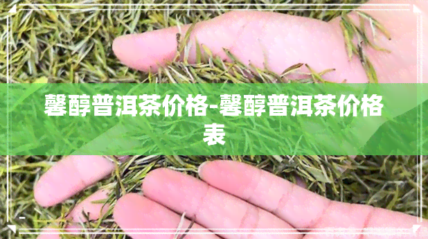 馨醇普洱茶价格-馨醇普洱茶价格表