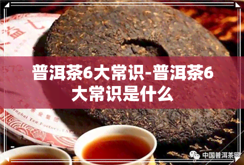 普洱茶6大常识-普洱茶6大常识是什么