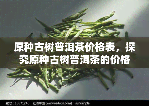 原种古树普洱茶价格表，探究原种古树普洱茶的价格行情——一份详细的价格表