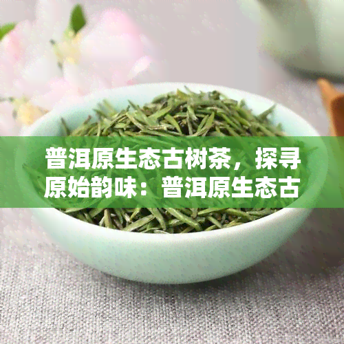 普洱原生态古树茶，探寻原始韵味：普洱原生态古树茶的魅力之旅