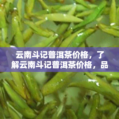 云南斗记普洱茶价格，了解云南斗记普洱茶价格，品味正宗古树普洱的魅力！