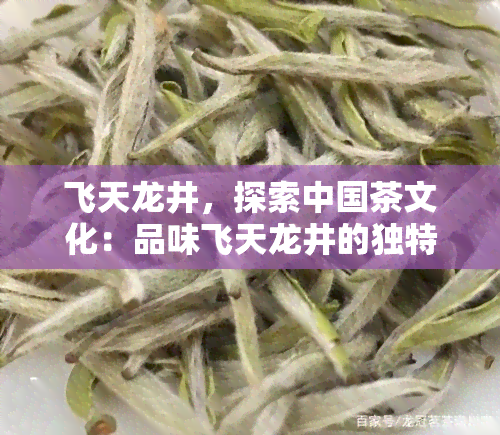 飞天龙井，探索中国茶文化：品味飞天龙井的独特魅力