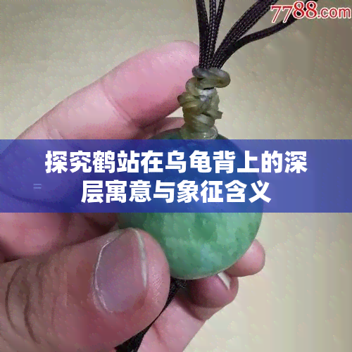 探究鹤站在乌龟背上的深层寓意与象征含义