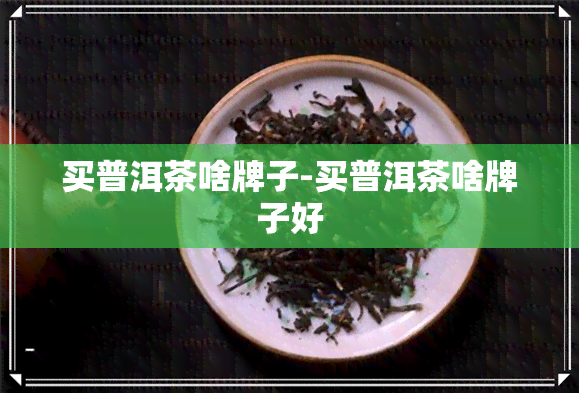 买普洱茶啥牌子-买普洱茶啥牌子好