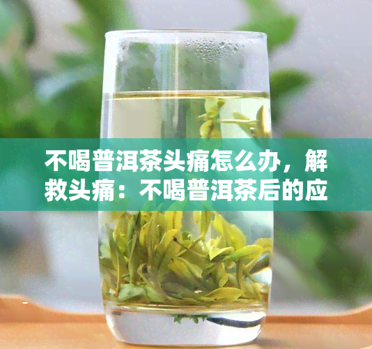 不喝普洱茶头痛怎么办，解救头痛：不喝普洱茶后的应对策略