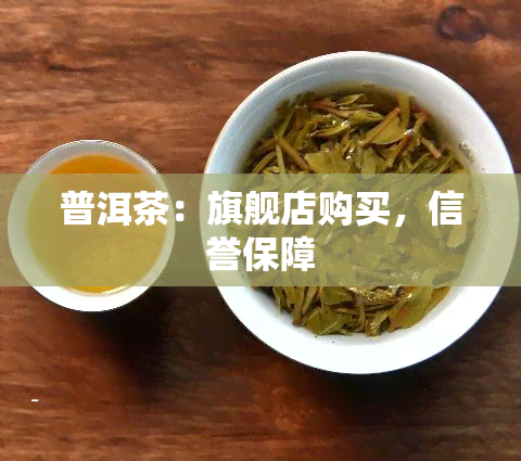 普洱茶：旗舰店购买，信誉保障