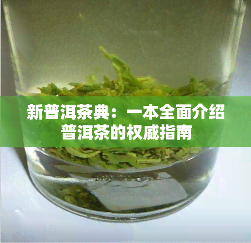 新普洱茶典：一本全面介绍普洱茶的权威指南