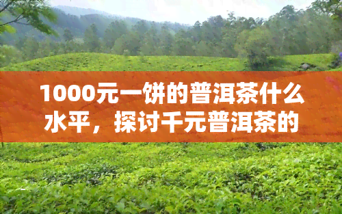 1000元一饼的普洱茶什么水平，探讨千元普洱茶的品质水平：值不值得购买？