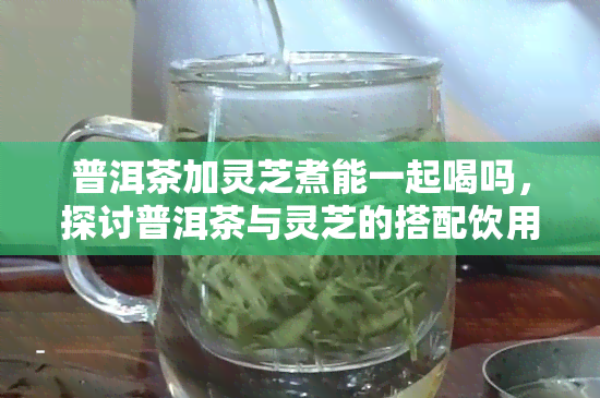 普洱茶加灵芝煮能一起喝吗，探讨普洱茶与灵芝的搭配饮用，能否达到养生效果？