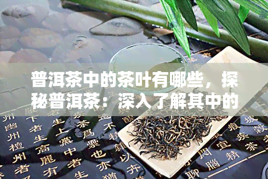 普洱茶中的茶叶有哪些，探秘普洱茶：深入了解其中的茶叶种类