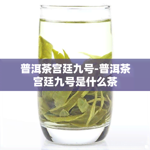 普洱茶宫廷九号-普洱茶宫廷九号是什么茶