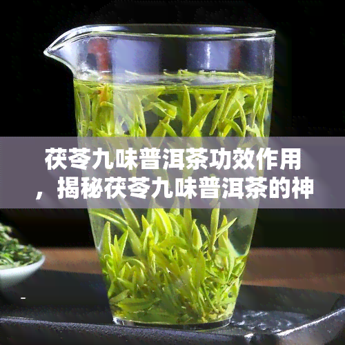 茯苓九味普洱茶功效作用，揭秘茯苓九味普洱茶的神奇功效与作用