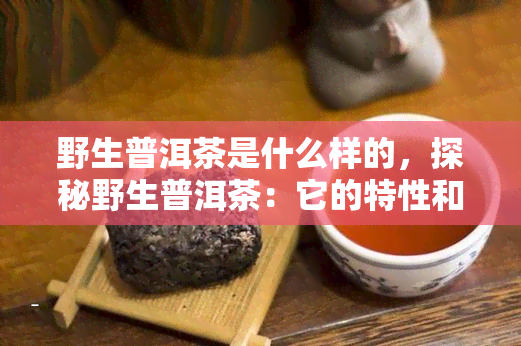 野生普洱茶是什么样的，探秘野生普洱茶：它的特性和品质如何？