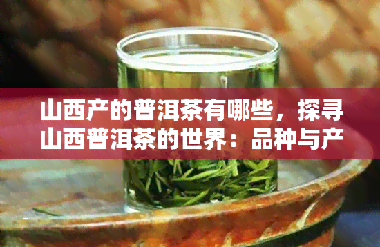 山西产的普洱茶有哪些，探寻山西普洱茶的世界：品种与产地解析