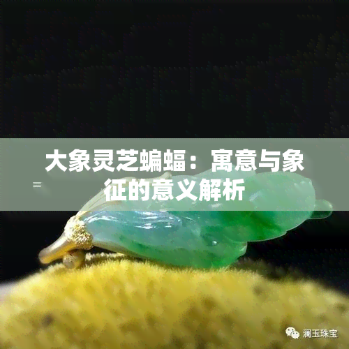 大象灵芝蝙蝠：寓意与象征的意义解析