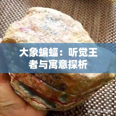 大象蝙蝠：听觉王者与寓意探析