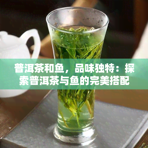 普洱茶和，品味独特：探索普洱茶与的完美搭配