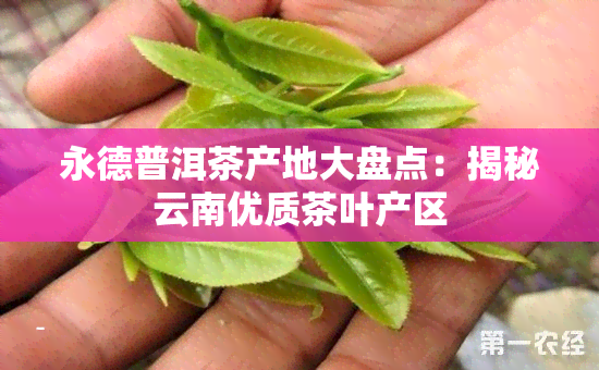 永德普洱茶产地大盘点：揭秘云南优质茶叶产区