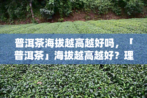 普洱茶海拔越高越好吗，「普洱茶」海拔越高越好？理解茶叶生长环境对品质的影响