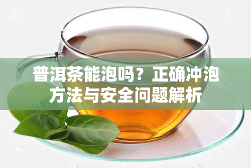 普洱茶能泡吗？正确冲泡方法与安全问题解析