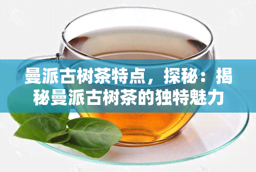 曼派古树茶特点，探秘：揭秘曼派古树茶的独特魅力与特点