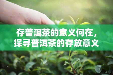 存普洱茶的意义何在，探寻普洱茶的存放意义：一份独特的文化体验