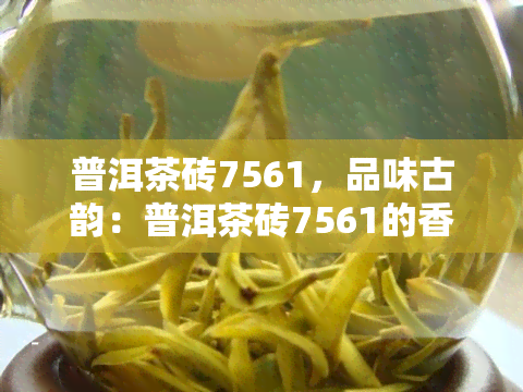 普洱茶砖7561，品味古韵：普洱茶砖7561的香气与口感探索