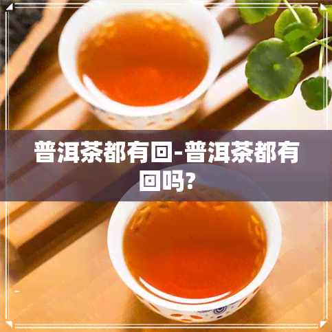 普洱茶都有回-普洱茶都有回吗?