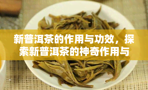 新普洱茶的作用与功效，探索新普洱茶的神奇作用与健功效