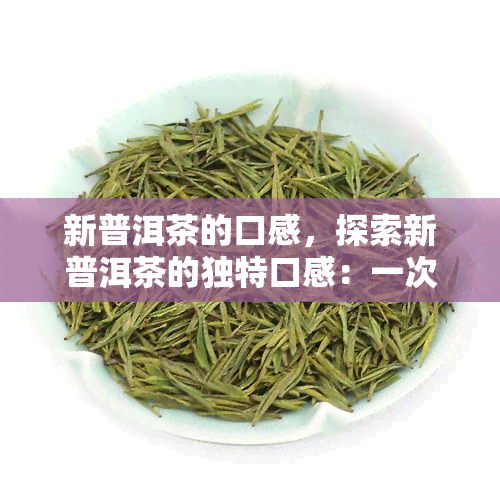 新普洱茶的口感，探索新普洱茶的独特口感：一次味觉之旅