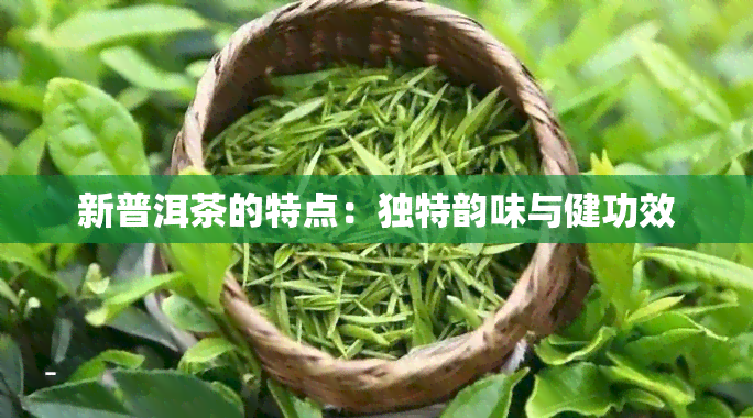 新普洱茶的特点：独特韵味与健功效