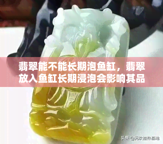 翡翠能不能长期泡缸，翡翠放入缸长期浸泡会影响其品质吗？