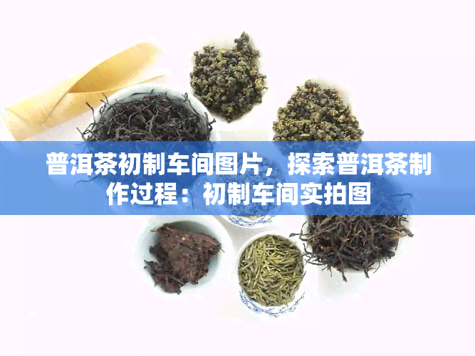 普洱茶初制车间图片，探索普洱茶制作过程：初制车间实拍图