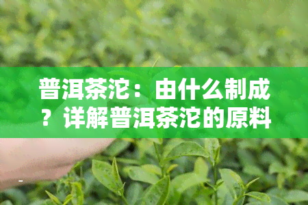 普洱茶沱：由什么制成？详解普洱茶沱的原料与制作过程