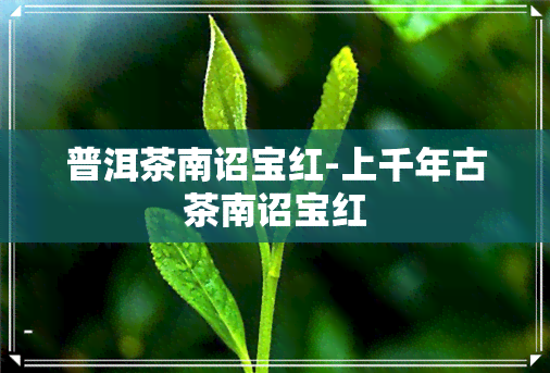 普洱茶南诏宝红-上千年古茶南诏宝红