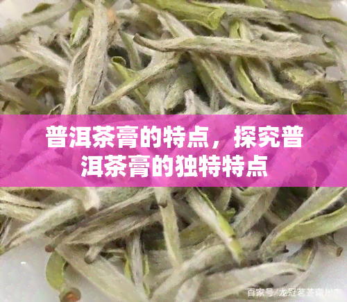 普洱茶膏的特点，探究普洱茶膏的独特特点