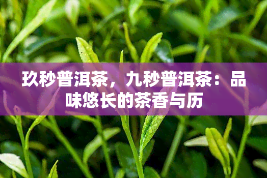 玖秒普洱茶，九秒普洱茶：品味悠长的茶香与历