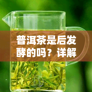 普洱茶是后发酵的吗？详解原因与饮用建议